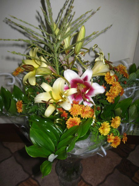 Алёна Жеглова