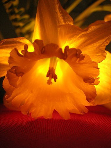 Татьяна Мартьянова