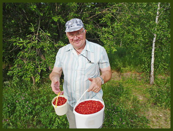 Василий Вахрин