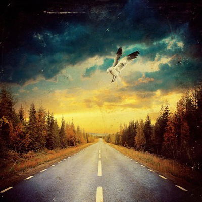 Таня Гарькавая