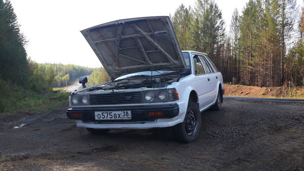 Владислав Дмитриев