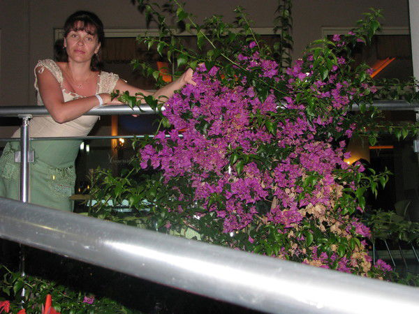 Екатерина Стрелецкая