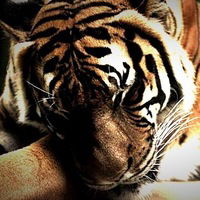 Жека Емшанов