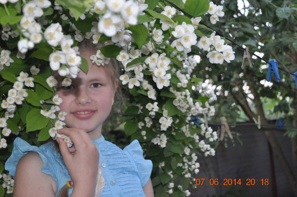 Анастасия Белодед