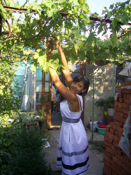 Елена Никишкина