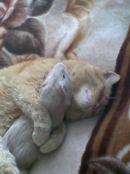 Анатолий Архипов