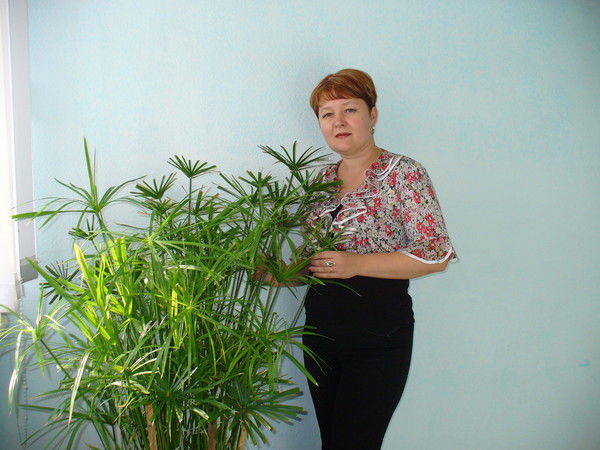 Наталья Метляева