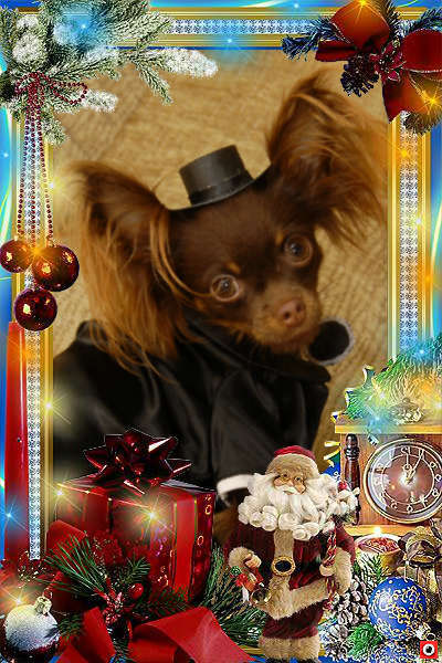 Таня Дашковская