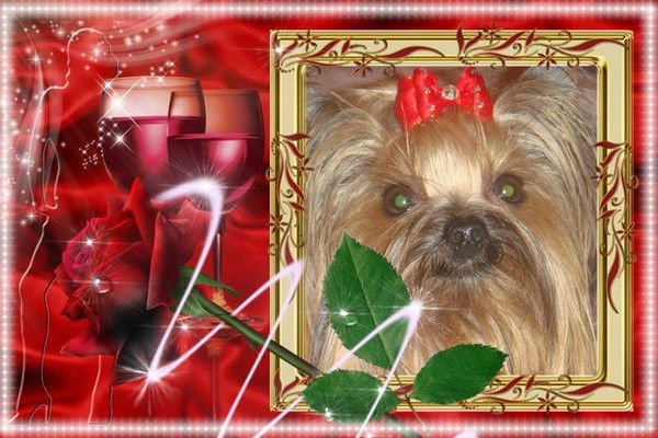 Света Марасанова