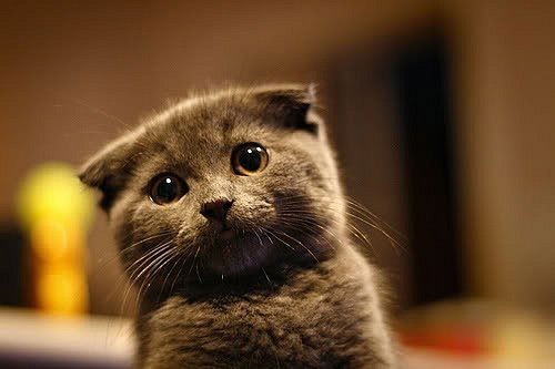 Евгения Севостьянова