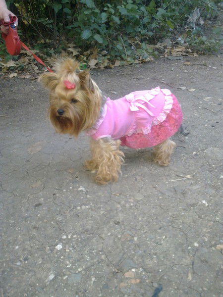 Елена Бичакиан