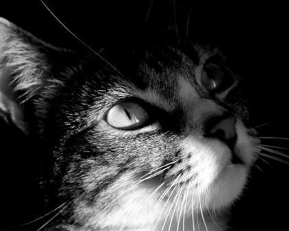 Людмила Клименко