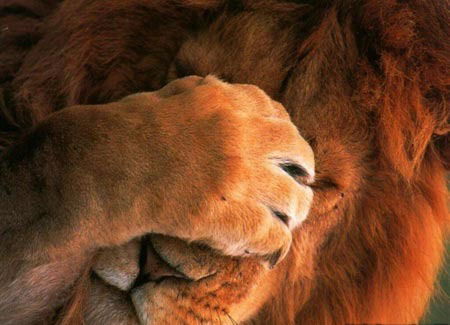 Александра Подойникова