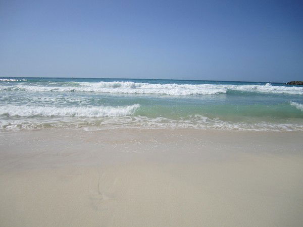 Лена Богатыренко