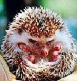 Александр Иванов