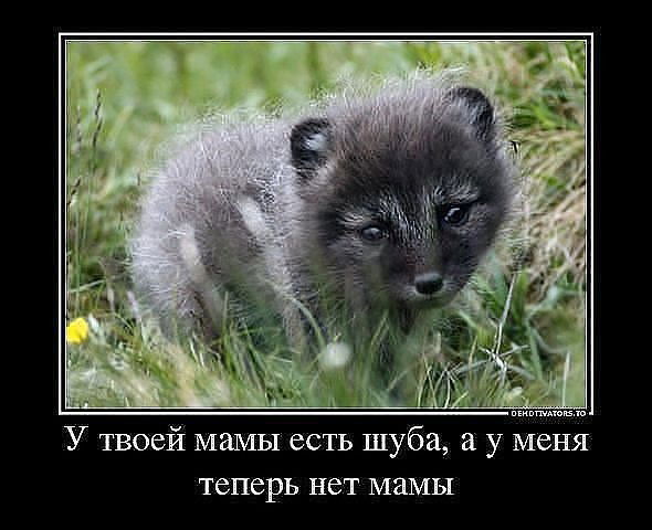 Андрей Табаков