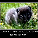 Андрей Табаков
