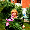 Елена Трошихина