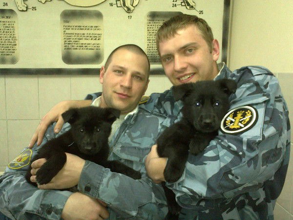 Андрей Данилов