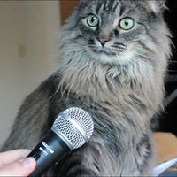 Юля Фадеева