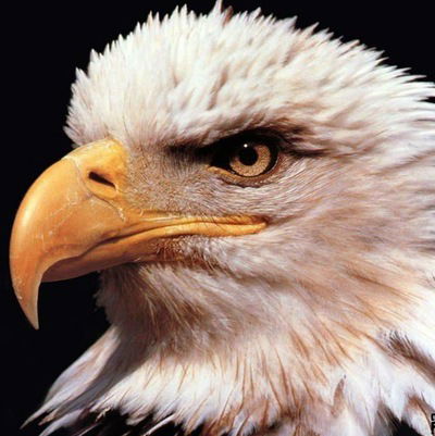 Симак Аширов