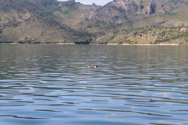 Айсулу Балтабаева