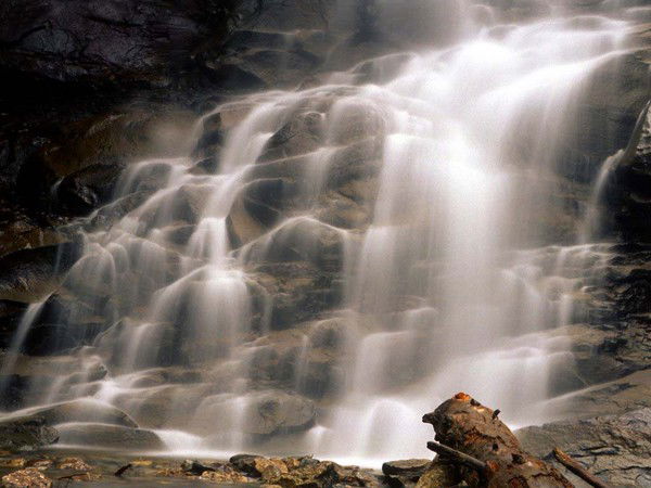 Жанар Молдахунова