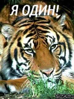 Сырым Утешев