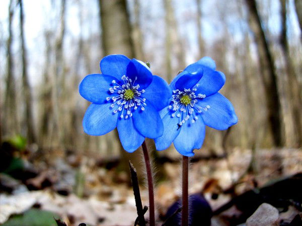 Эльвира Тухбатова