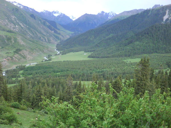 Мира Купсуралиева