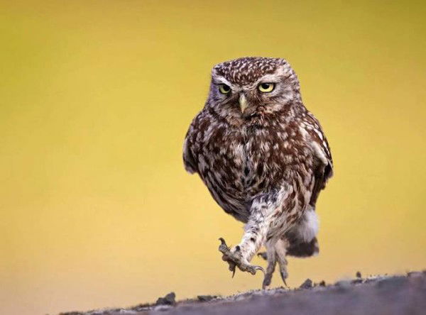 Мария Колкова