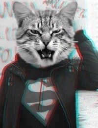 Виктория Скрипка