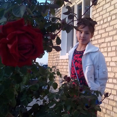 Эвелина Шамсутдинова