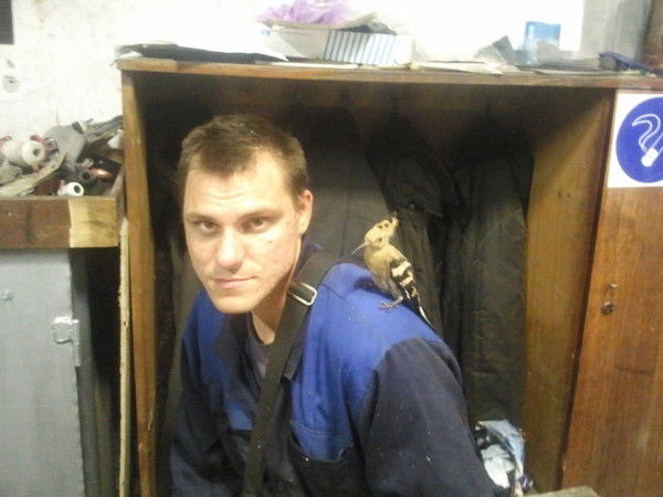 Николай Радченко