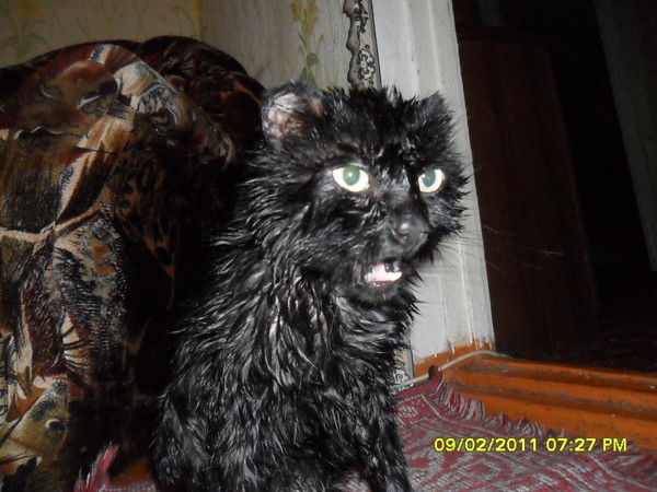 Виктория Катцына