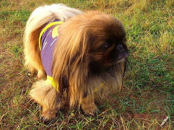 Людмила Федорова