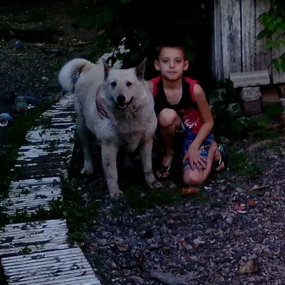 Андрей Крахмалёв