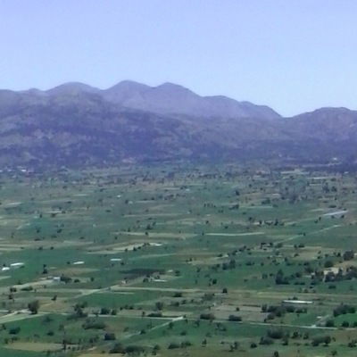 Миша Чекмарев