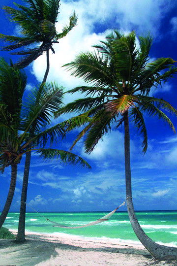 Дания Шарифуллина