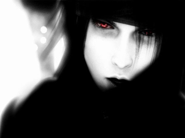 Бродячий Кот