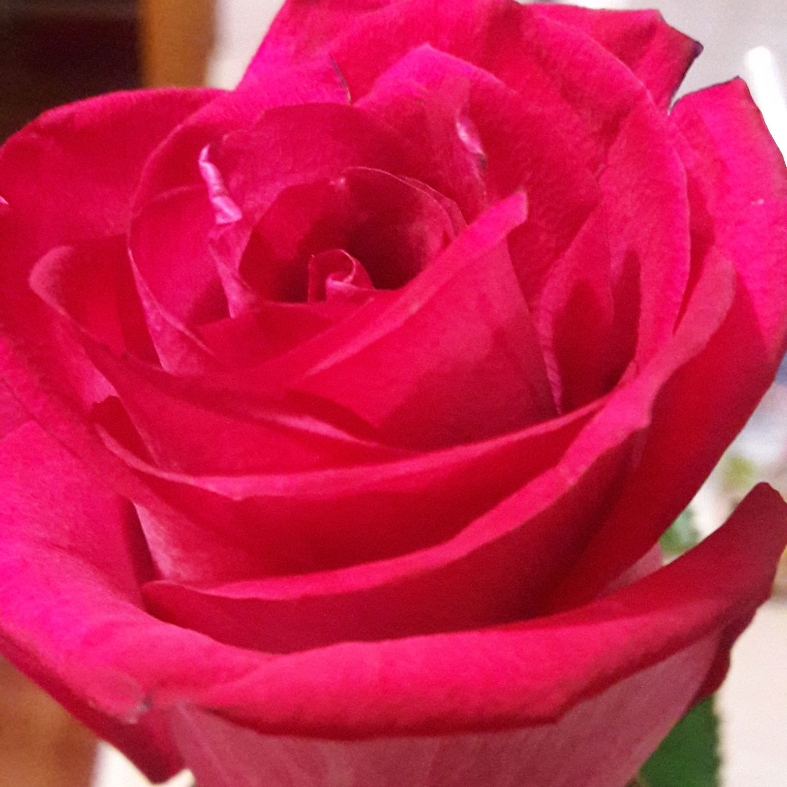 Ирина Соколова