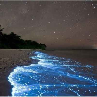 Артур Литвин