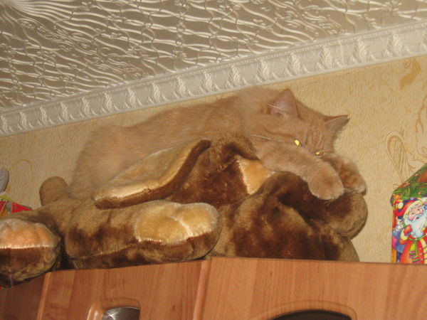 Светлана Казьмина