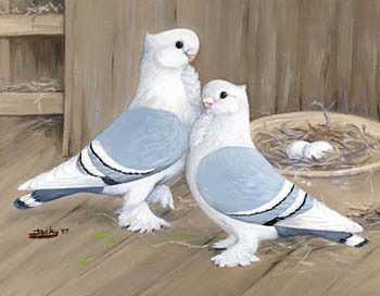 Кенес Махамбетов