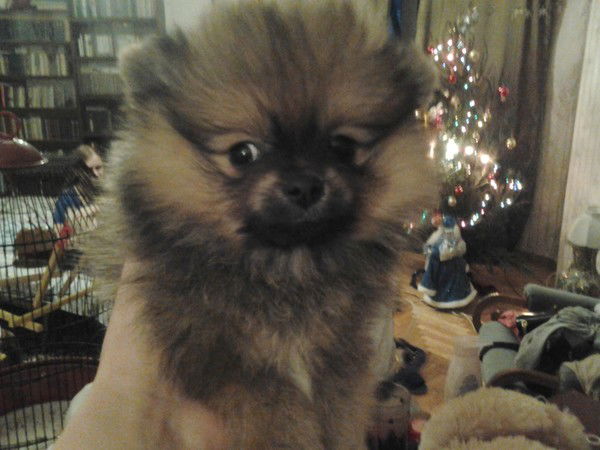 Михаил Михайлов