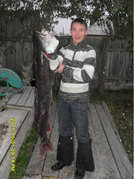 Андрей Милохов