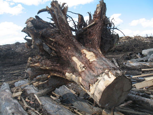 Отдел Маркетинга