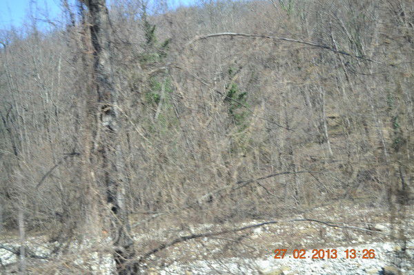 Татьяна Череповская