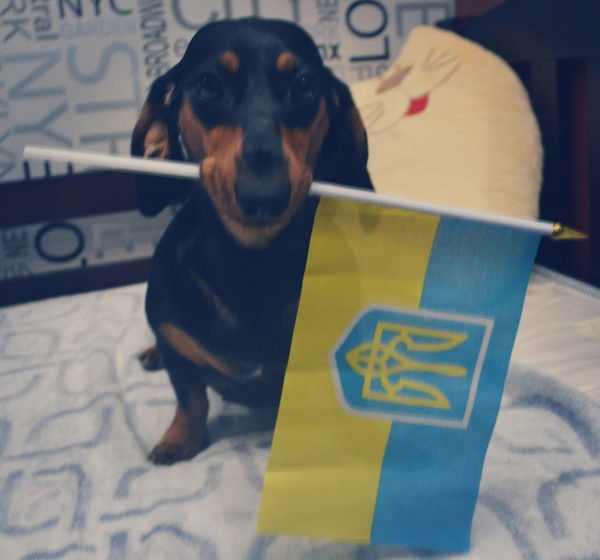 Роман Просто Роман