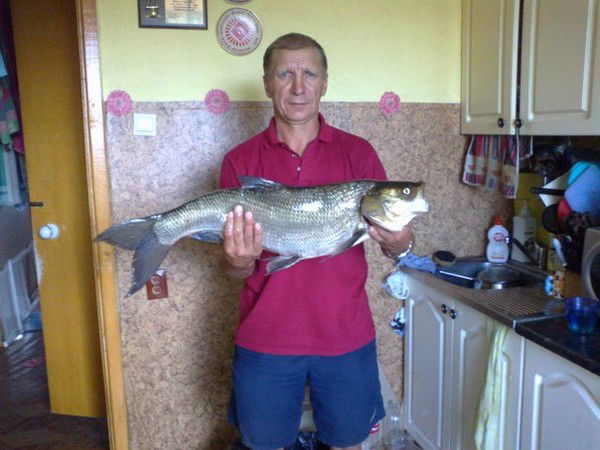 Виктор Миранков